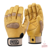CORDEX PLUS